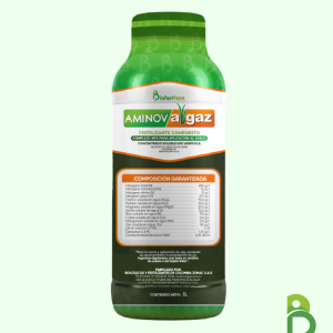 AMINOV ARGAZ
