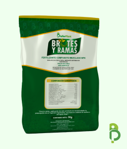BROTES Y RAMAS