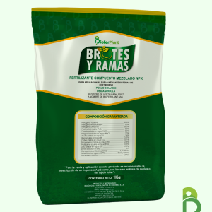BROTES Y RAMAS