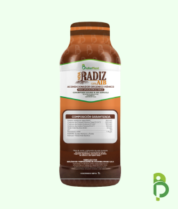 NOVARADIZ